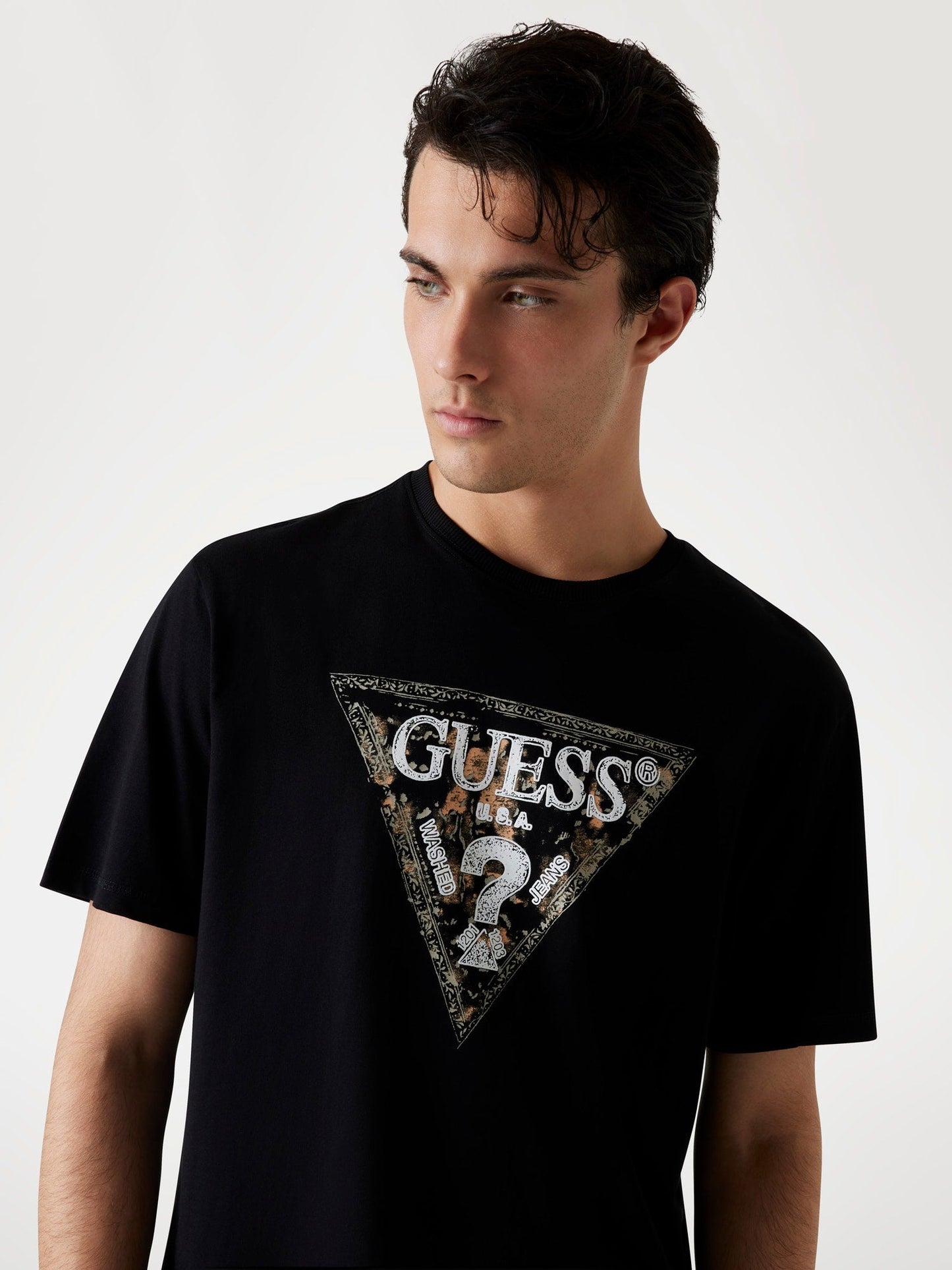 SS CN GUESS TRIANGLE