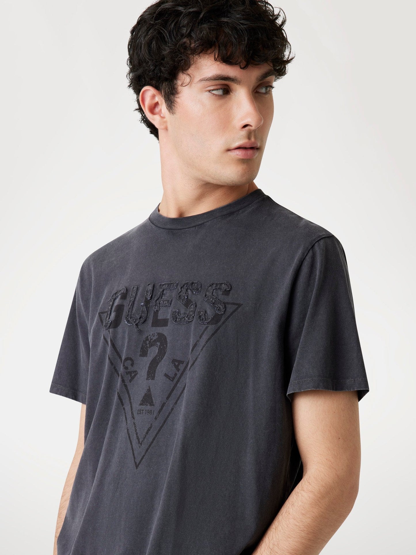 SS BSC GUESS INSET L