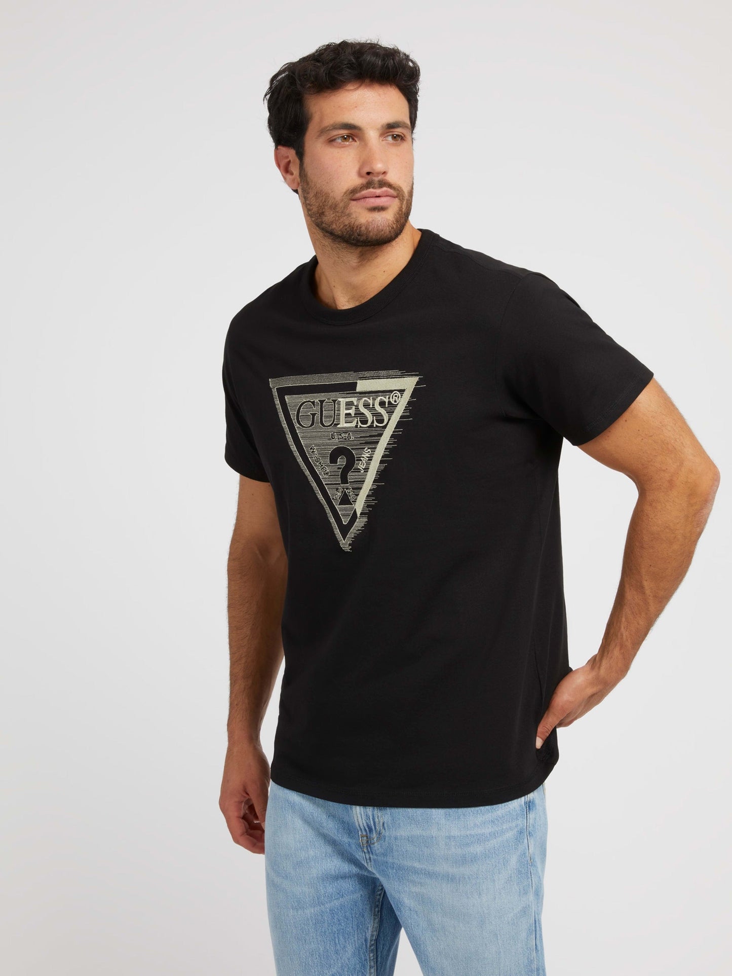 SS CN SHADED TRIANGL