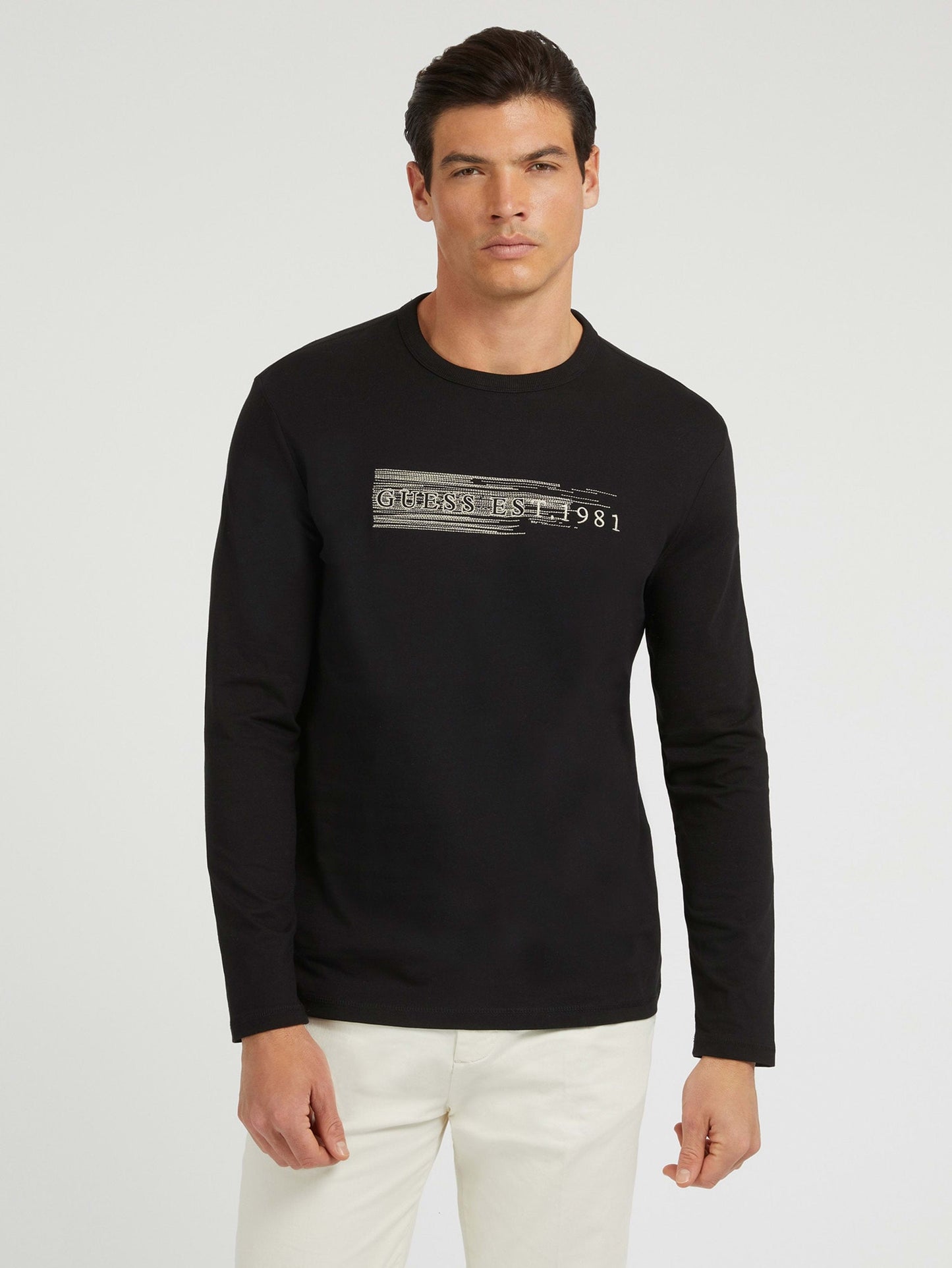 LS CN SHADED LOGO TE