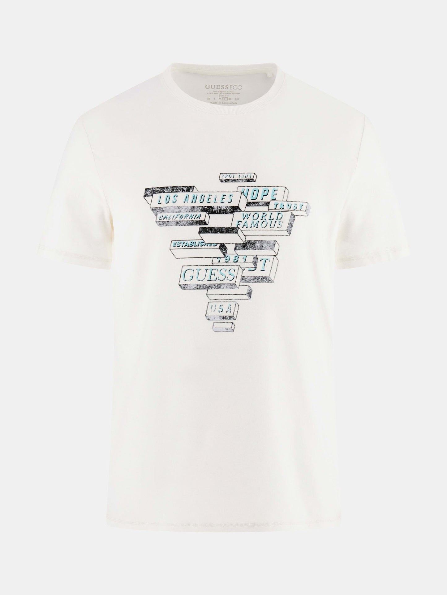 SS CN ABSTRACT TRIAN