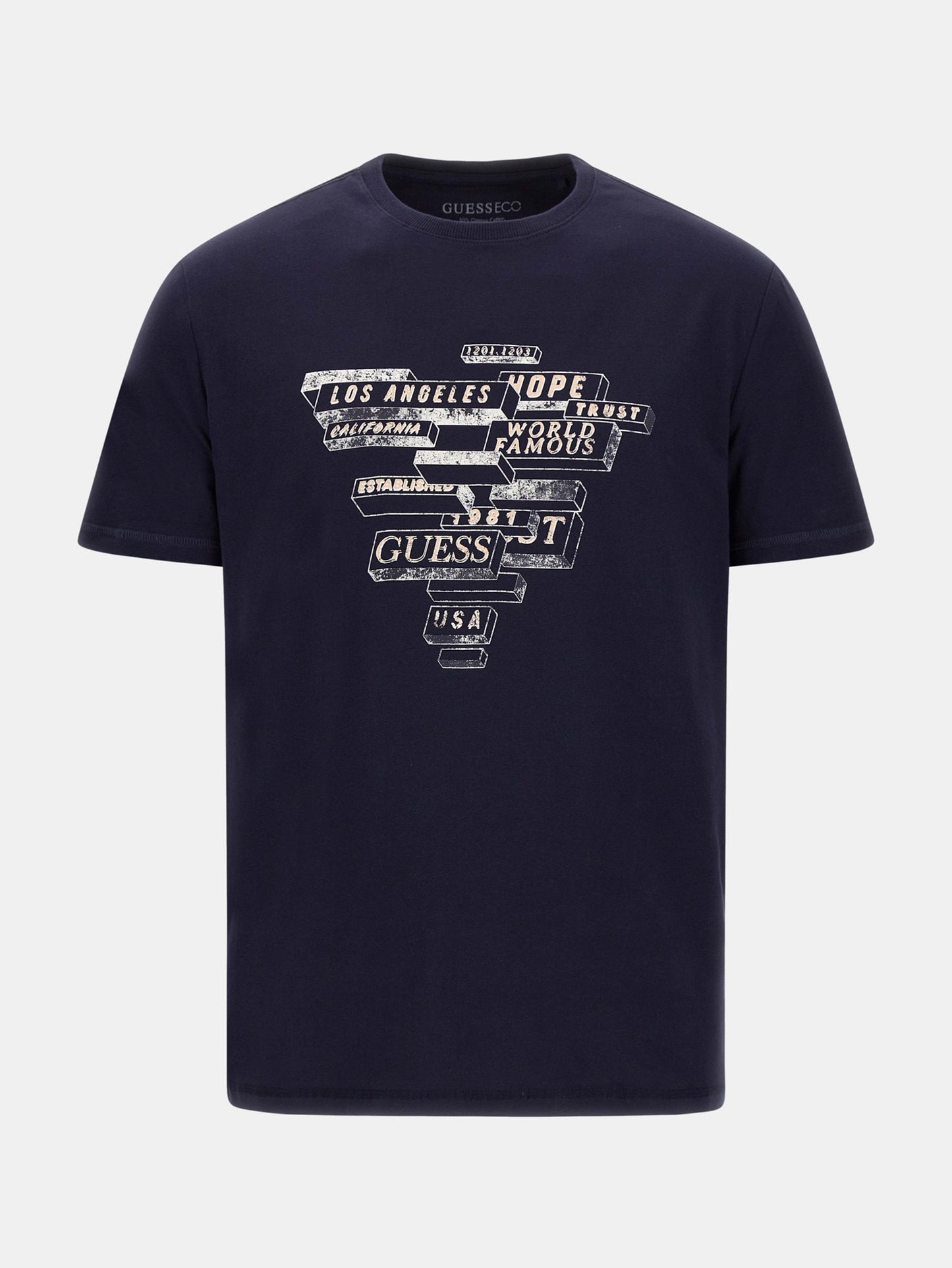 SS CN ABSTRACT TRIAN