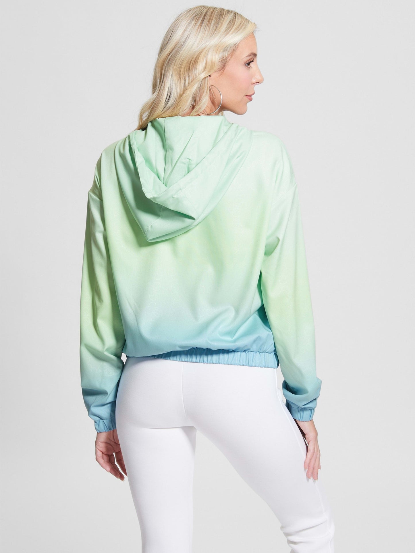 CLEMATIS WINDBREAKER