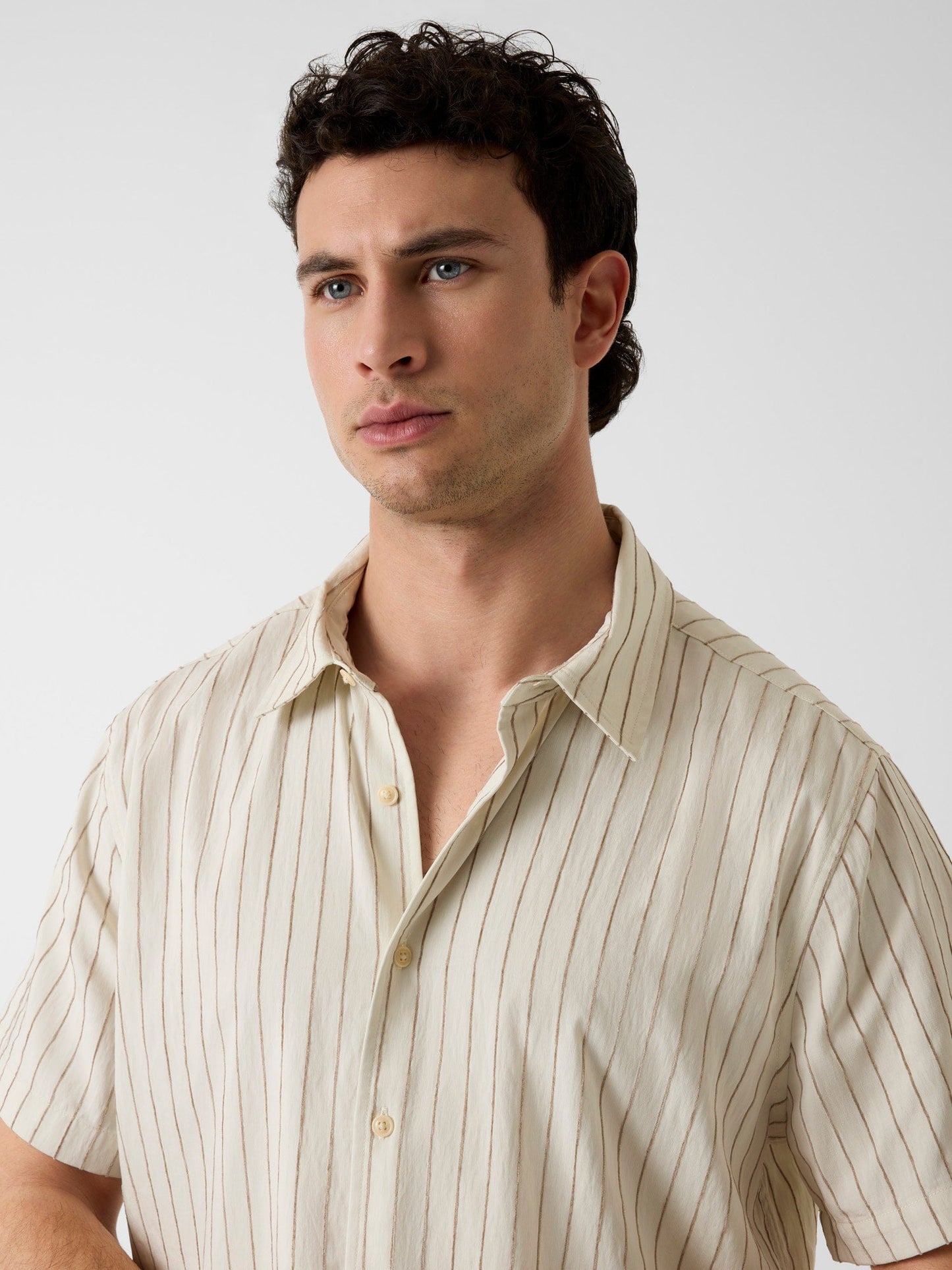 REDFORD STRIPE SS SH