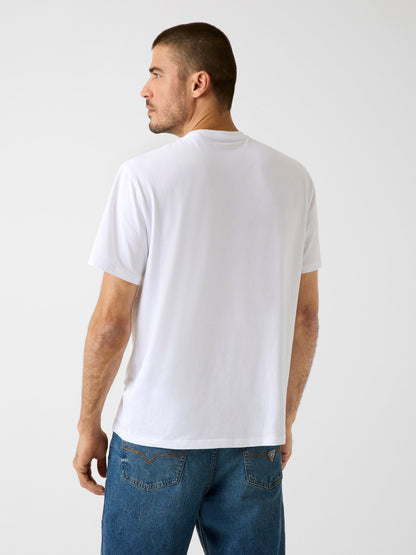 SS CN ARM LOGO SCRIP