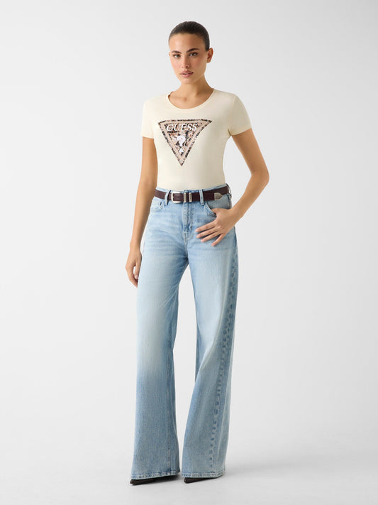 SS CN LEO TRIANGLE T